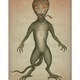 Illustration for article titled Gifts for Monster Fans